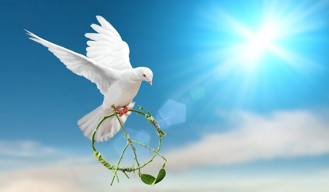 1η Διαδικτυακή Εκδήλωση Πνευματικών Ομάδων Για την Παγκόσμια Ειρήνη και την Αδελφοσύνη των Λαών Κυριακή, 10 Απριλίου 2022 στις 19:30